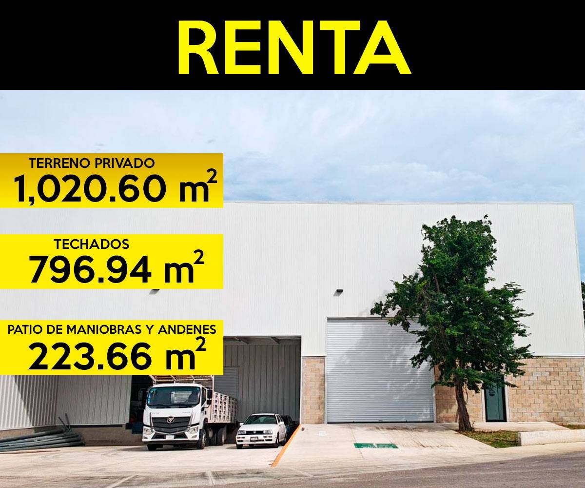 Carrusel Naves Inicio CP 13 | Castelli Park