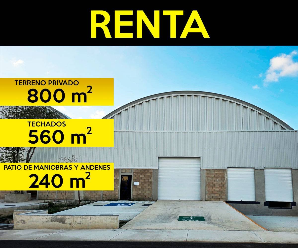 Carrusel Naves Inicio CP 45 | Castelli Park