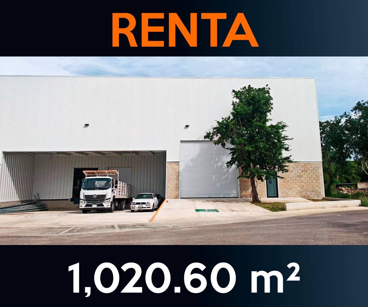 Carrusel Naves Inicio CP nave13 | Castelli Park