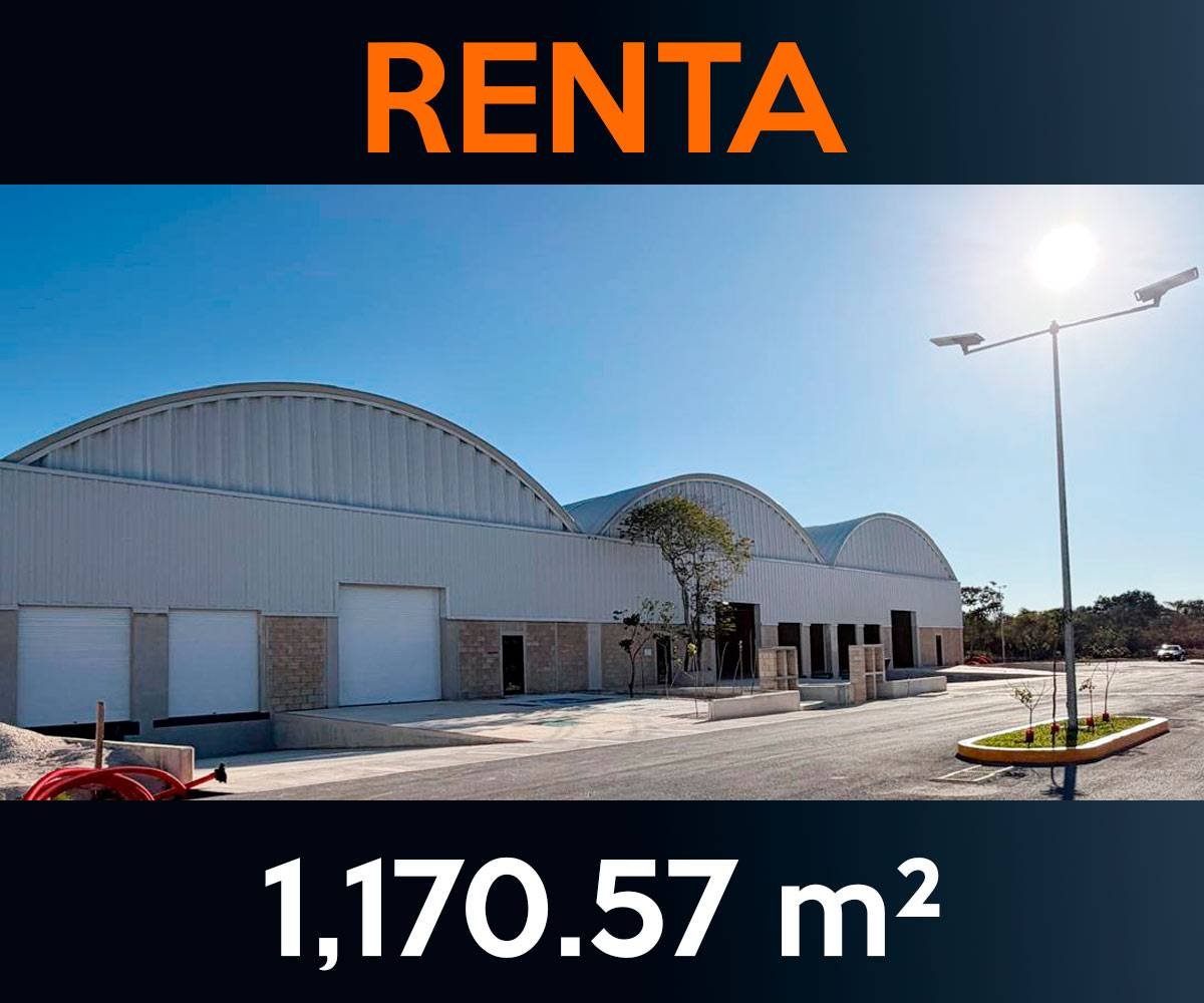 Carrusel Naves Inicio CP nave55 | Castelli Park