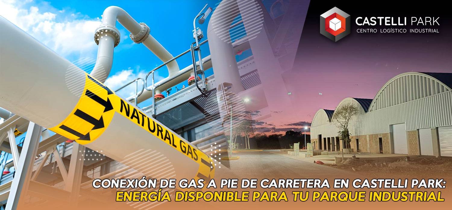 Articulo 64 | Castelli Park